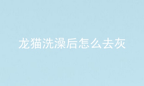 龙猫洗澡后怎么去灰