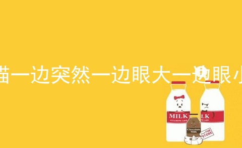 猫一边突然一边眼大一边眼小