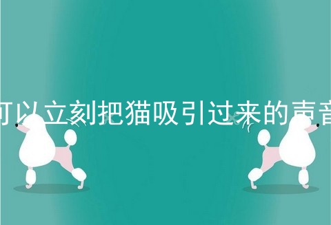 可以立刻把猫吸引过来的声音