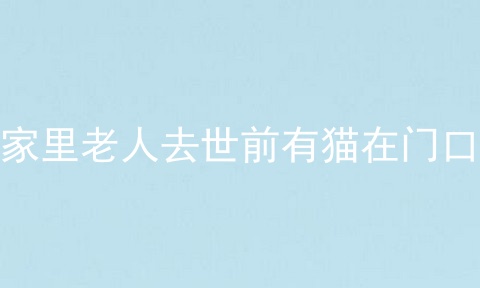 家里老人去世前有猫在门口