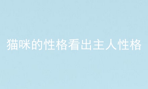 猫咪的性格看出主人性格