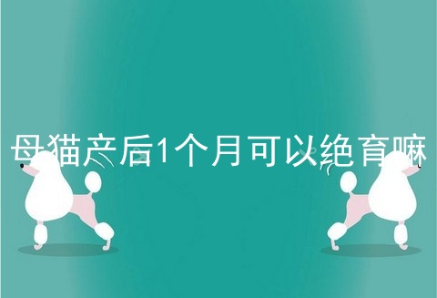 母猫产后1个月可以绝育嘛