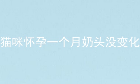猫咪怀孕一个月奶头没变化