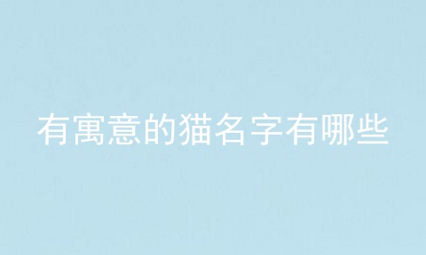 有寓意的猫名字有哪些