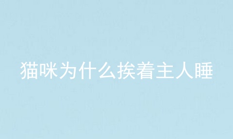 猫咪为什么挨着主人睡