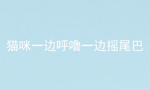 猫咪一边呼噜一边摇尾巴