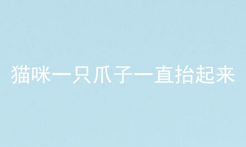 猫咪一只爪子一直抬起来