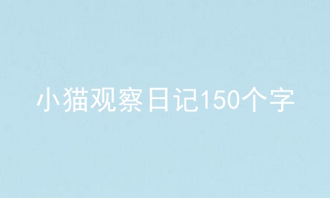 小猫观察日记150个字