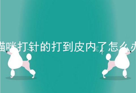 猫咪打针的打到皮内了怎么办