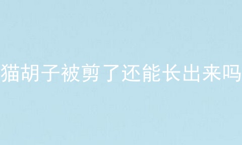 猫胡子被剪了还能长出来吗