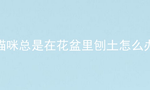 猫咪总是在花盆里刨土怎么办