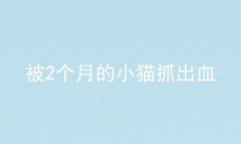 被2个月的小猫抓出血