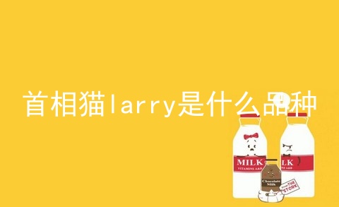 首相猫larry是什么品种