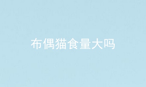 布偶猫食量大吗