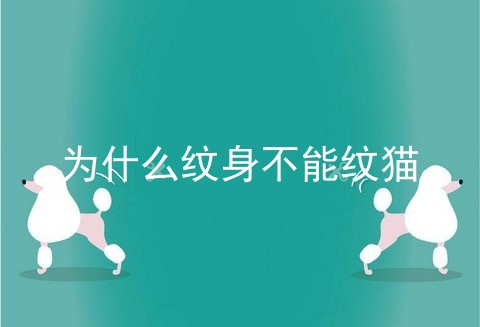 为什么纹身不能纹猫