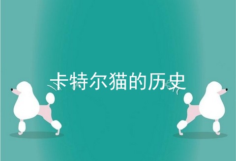 卡特尔猫的历史