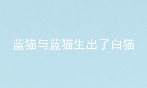 蓝猫与蓝猫生出了白猫