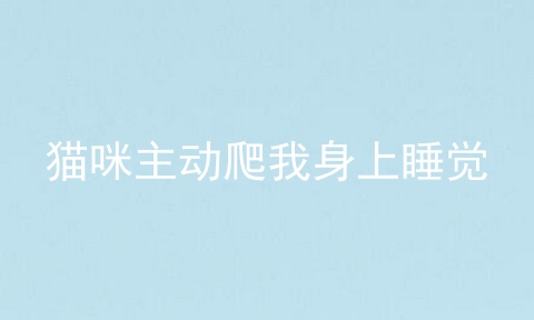 猫咪主动爬我身上睡觉