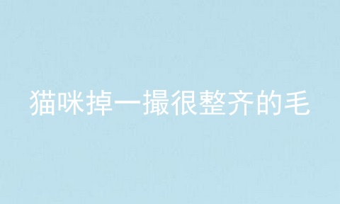 猫咪掉一撮很整齐的毛