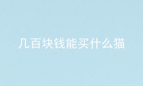 几百块钱能买什么猫