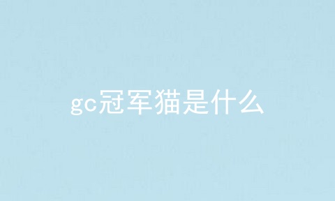 gc冠军猫是什么