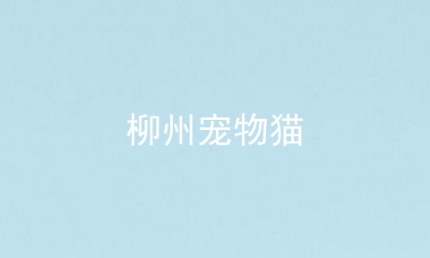柳州宠物猫