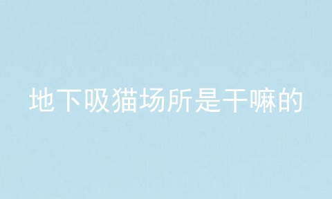 地下吸猫场所是干嘛的