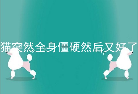 猫突然全身僵硬然后又好了