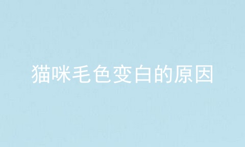 猫咪毛色变白的原因