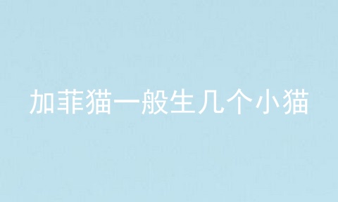 加菲猫一般生几个小猫