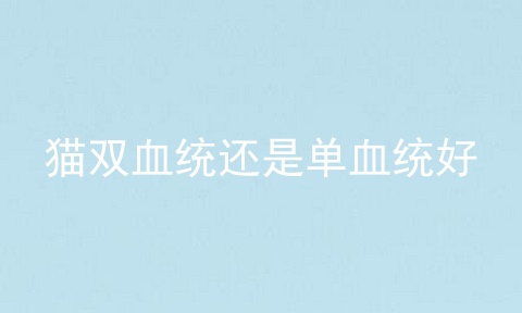 猫双血统还是单血统好