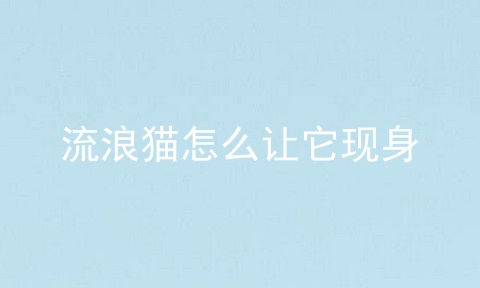 流浪猫怎么让它现身