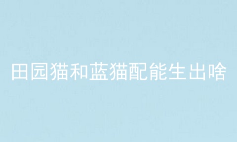 田园猫和蓝猫配能生出啥