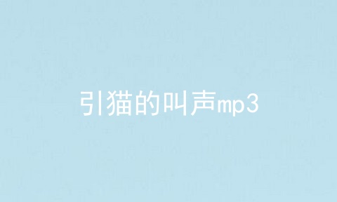 引猫的叫声mp3