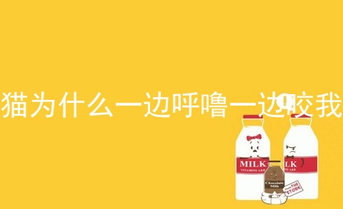 猫为什么一边呼噜一边咬我