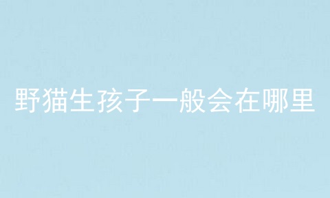 野猫生孩子一般会在哪里