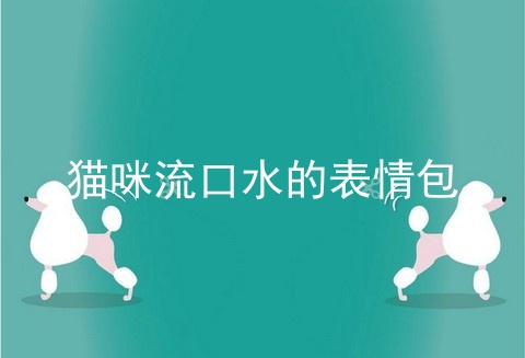 猫咪流口水的表情包