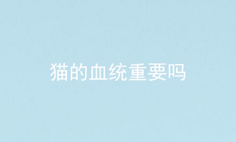猫的血统重要吗