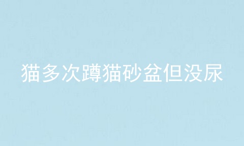 猫多次蹲猫砂盆但没尿