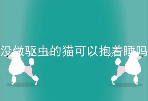 没做驱虫的猫可以抱着睡吗