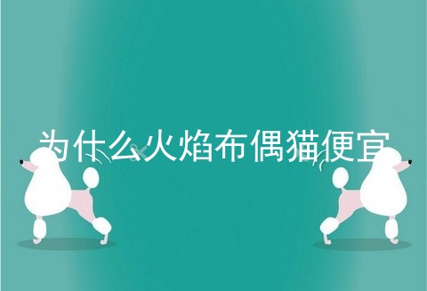 为什么火焰布偶猫便宜