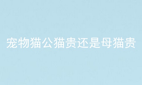 宠物猫公猫贵还是母猫贵