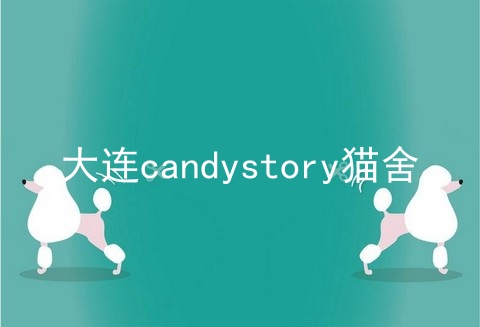 大连candystory猫舍