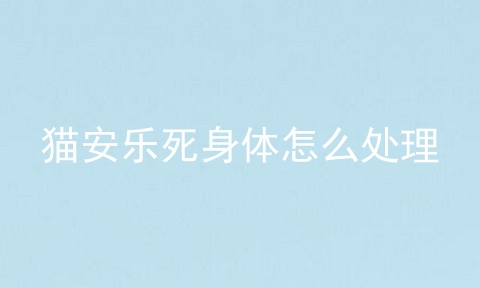 猫安乐死身体怎么处理