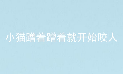 小猫蹭着蹭着就开始咬人