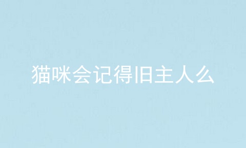 猫咪会记得旧主人么