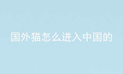 国外猫怎么进入中国的