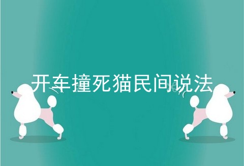 开车撞死猫民间说法