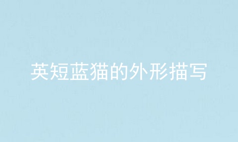 英短蓝猫的外形描写