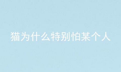 猫为什么特别怕某个人